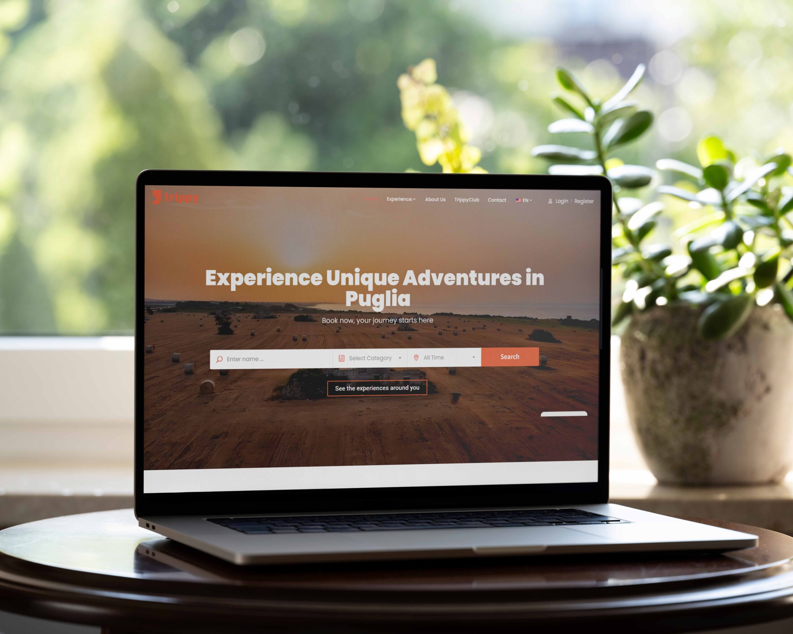 Trippy Experience – Travel Platform Development